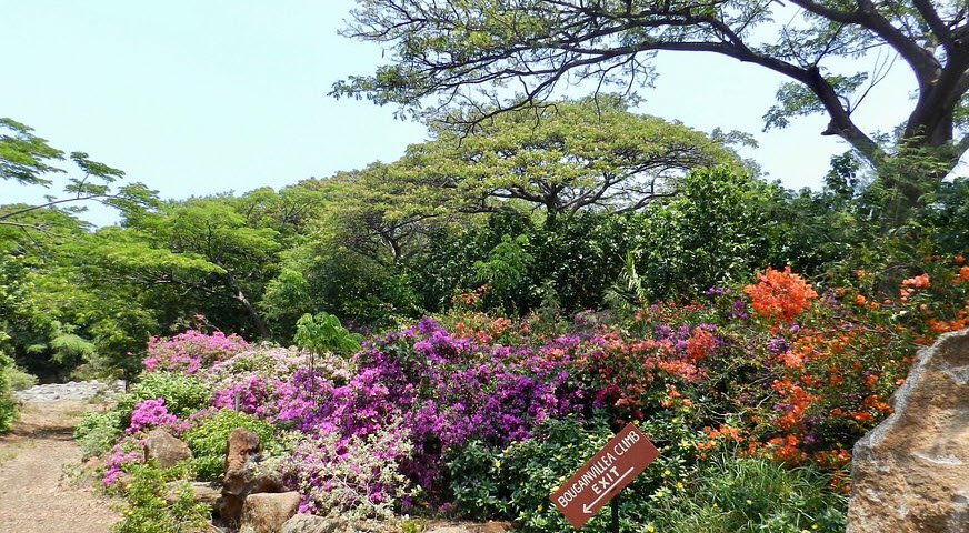 Pua Mau Place, United States